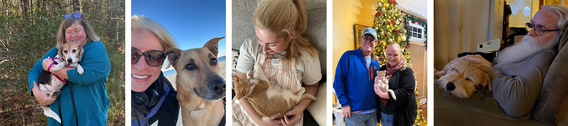 success-stories-image